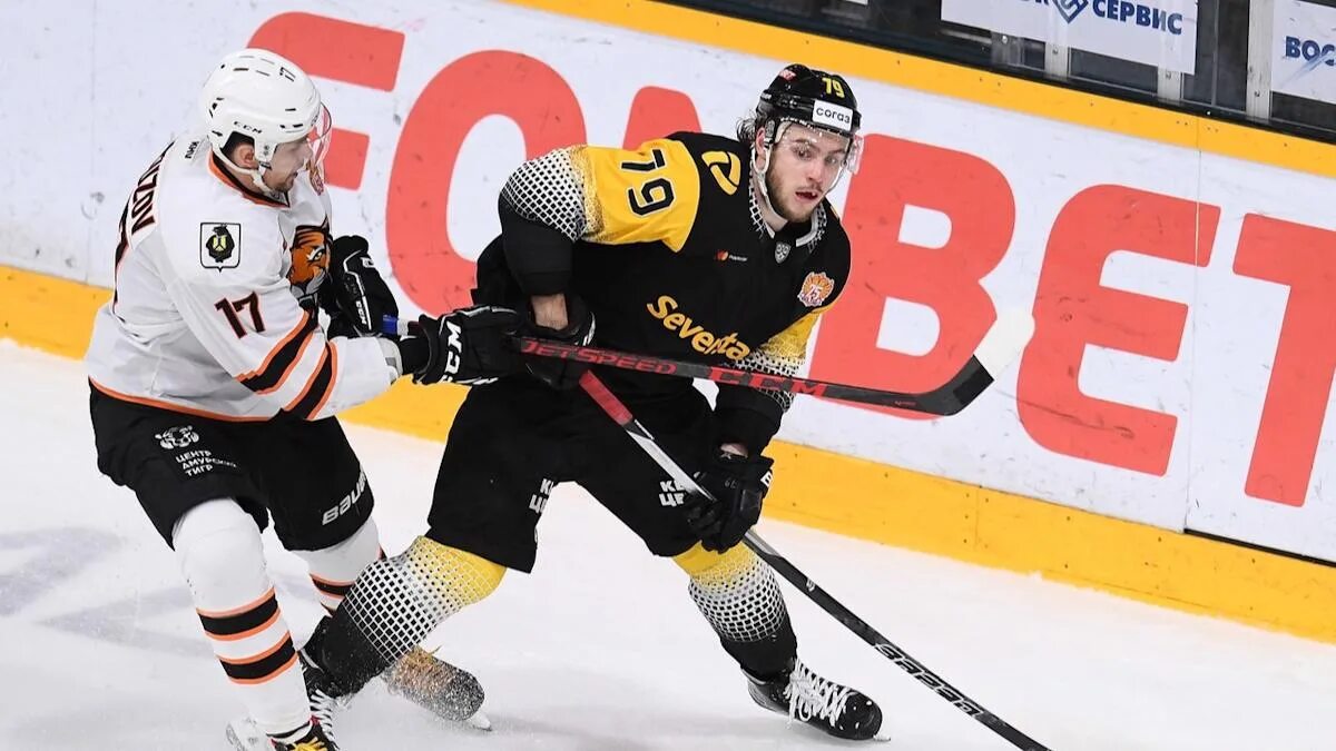 Амур северсталь. Северсталь амур прогноз. Гераськин северсталь. Амур северсталь. Северсталь амур прогноз.