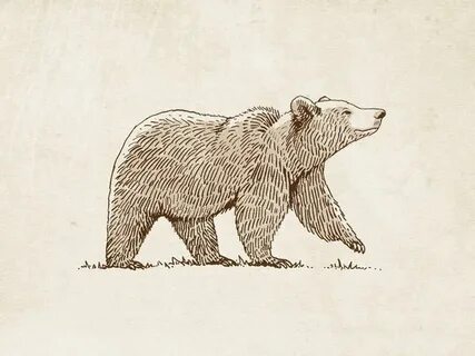 Bear work