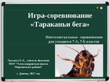 Тараканий охотник