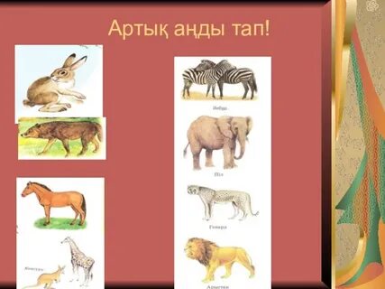 Жыныстық революция онлайн трансляциясы