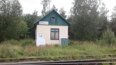 Погода в каменном бору