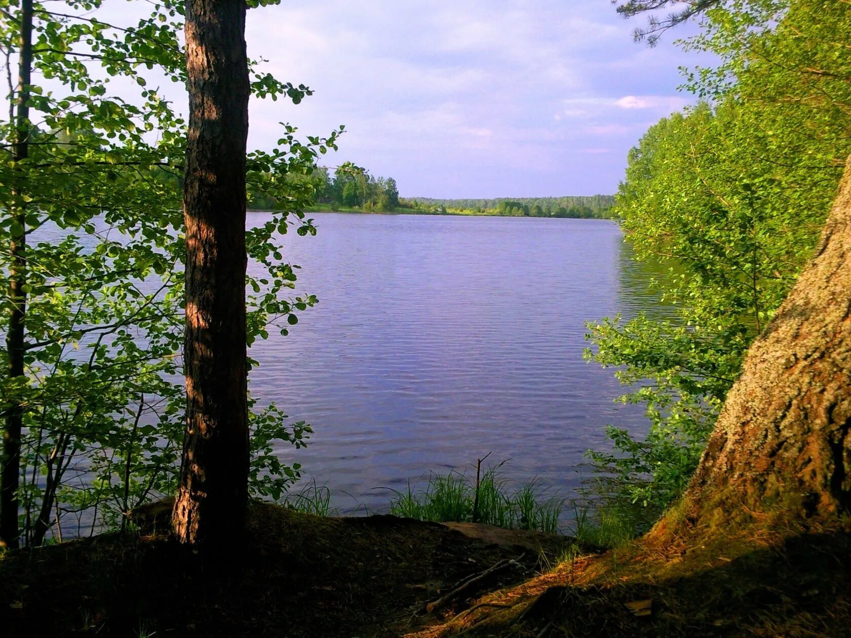 Река востра Ивановская область. Востринское водохранилище Ивановская область. Истринское водохранилище Иваново. Деревня Афанасово Ивановская область. Истринские водоемы