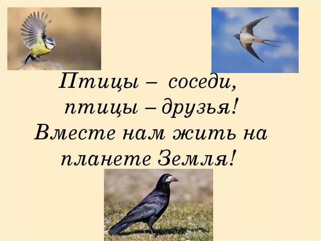 Спасем птиц зимой. Пернатые друзья. Лозунг птиц. Лозунг птиц. Плакат на тему покорми птиц!.