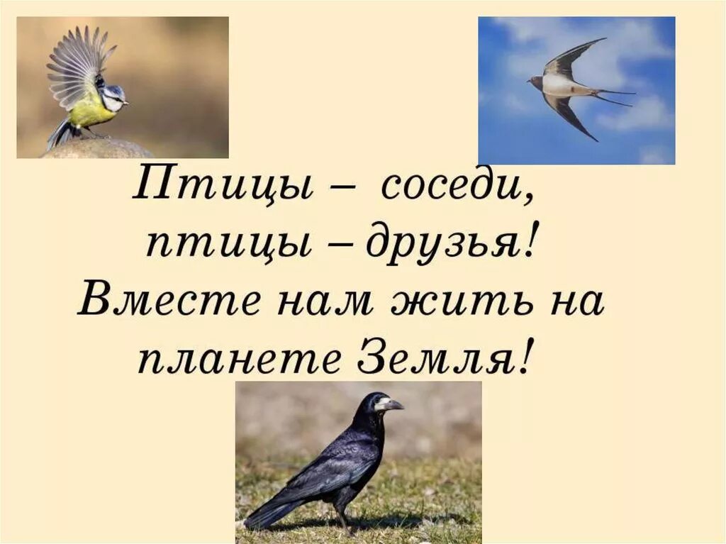 Люди не птицы 1 час. Птицы наши друзья. Пернатые друзья. Крылатые друзья птицы. Презентация пернатые друзья.