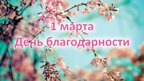 1 день благодарности