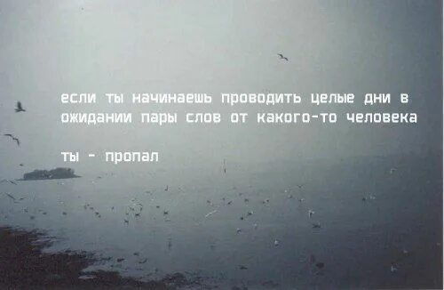 После долгих ожиданий. Цитаты про ожидание. Красивые цитаты про ожидание. Нужность человека. Ожидание человека цитаты.