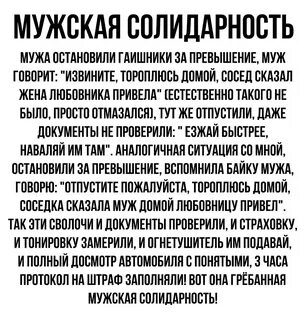 Мужская солидарность что это