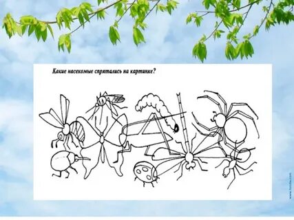 Листья спрятались