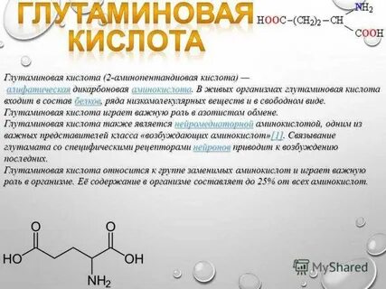 Глютаминовая кислота инструкция