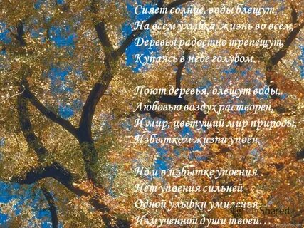 Тютчев сияет