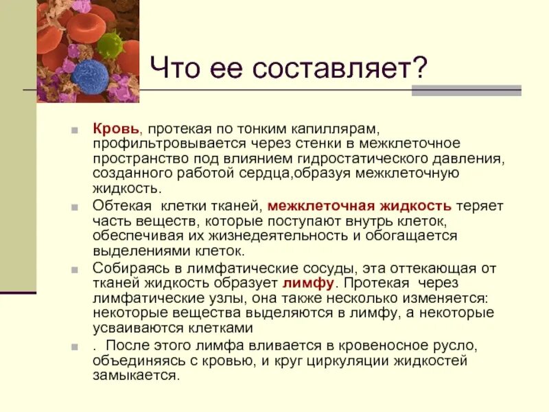 Сообщение по биологии 8 класс. Тема кровь по биологии 8 класс. функции крови презентация. кровь для презентации. презентация на тему кровь.