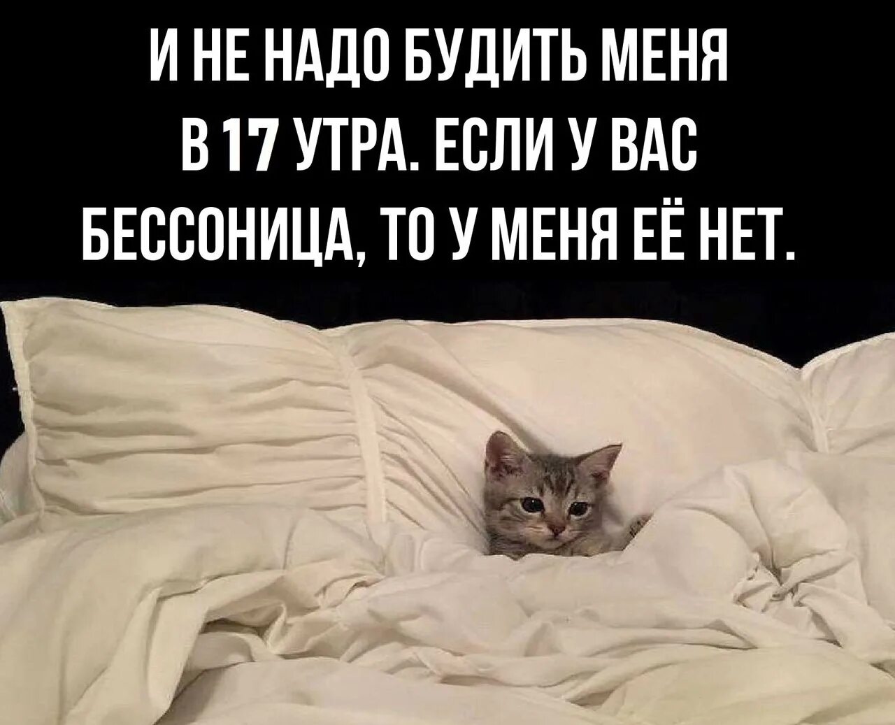 Будете или будите как правильно пишется. Будите или будете как правильно. Проверить будить. Разбудили медведева мем. Проверить будить.