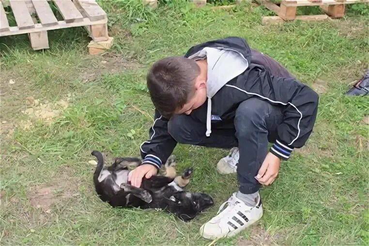 Приют старая русса