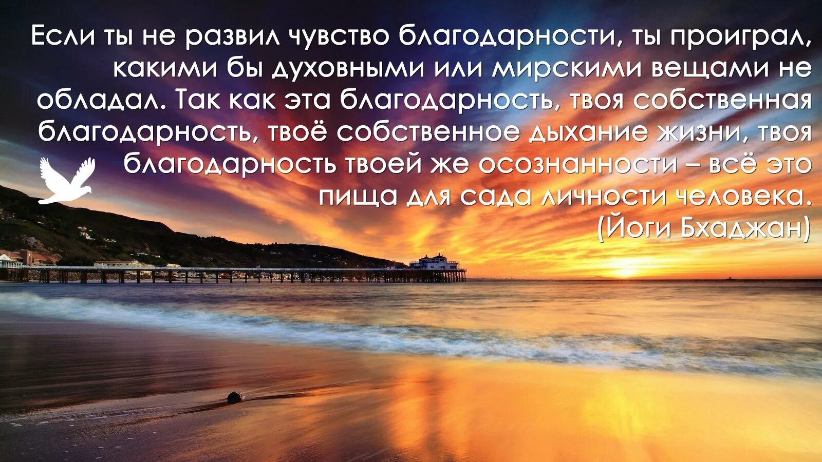 Словосочетание благодарю. Благодарность цитаты. Афоризмы про благодарность. Высказывания о благодарности. Благодарю афоризмы.