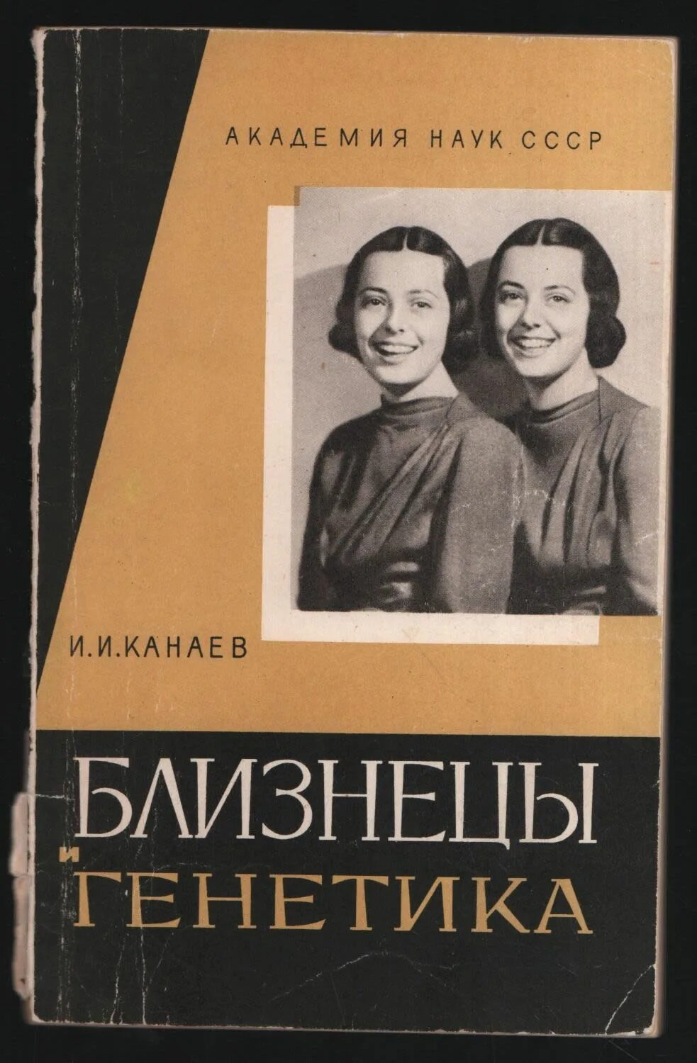 Двойняшки по ошибке книги. Книга Близнецы. Книги про близнецов. Книга про двойняшек. Близнецы генетика.