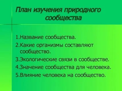 План изучения природного сообщества лес