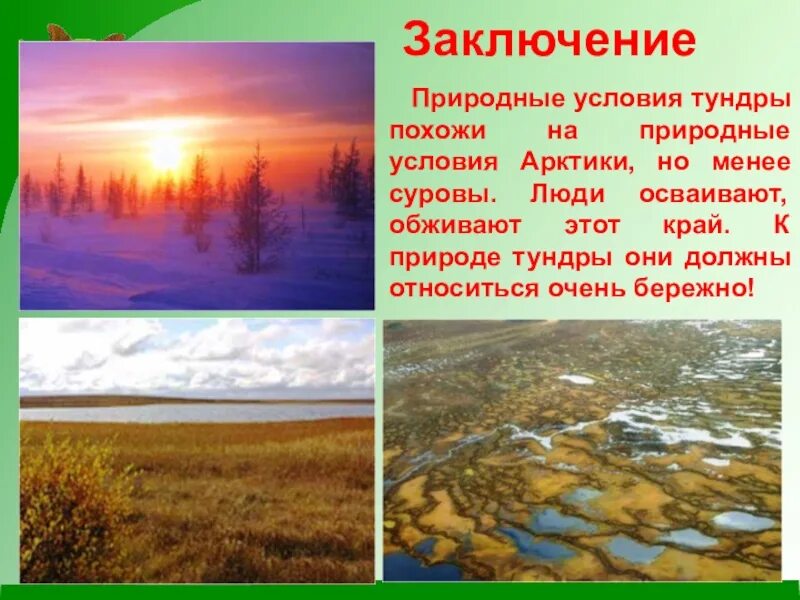 Проект про тундру 4 класс окружающий мир Презентация Природа в России скачать бесплатно pptx