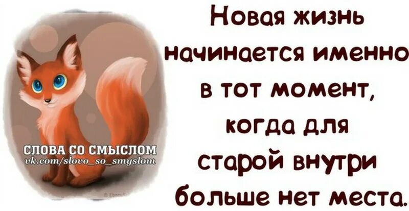 Статусы смыслом картинках. Интересные картинки для статуса. Открытки слова со смыслом. Слова со смыслом в картинках. Смешные высказывания о жизни со смыслом.