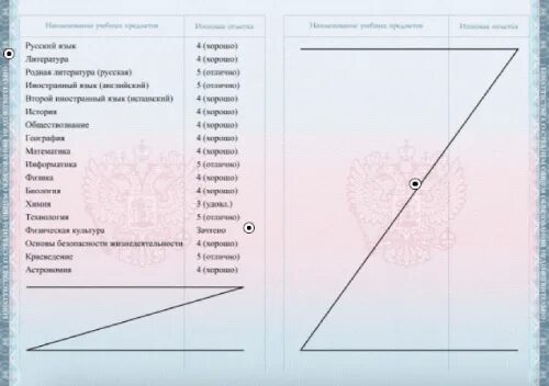 Порядок заполнения аттестатов основного общего образования. Порядок заполнения аттестатов основного общего образования