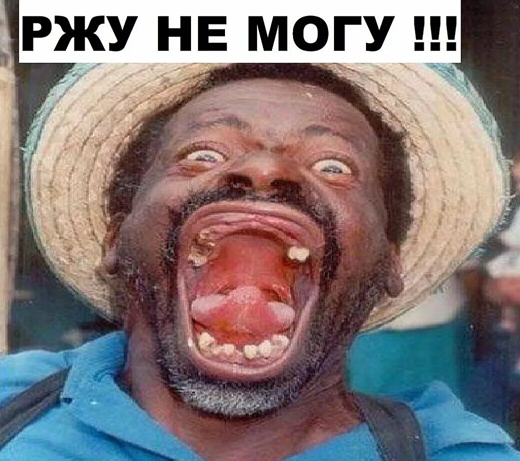 Ржу не могу приколы. Улыбки животных смешные. Крутые мемы. Мемы с котиками. Кот показывает язык.