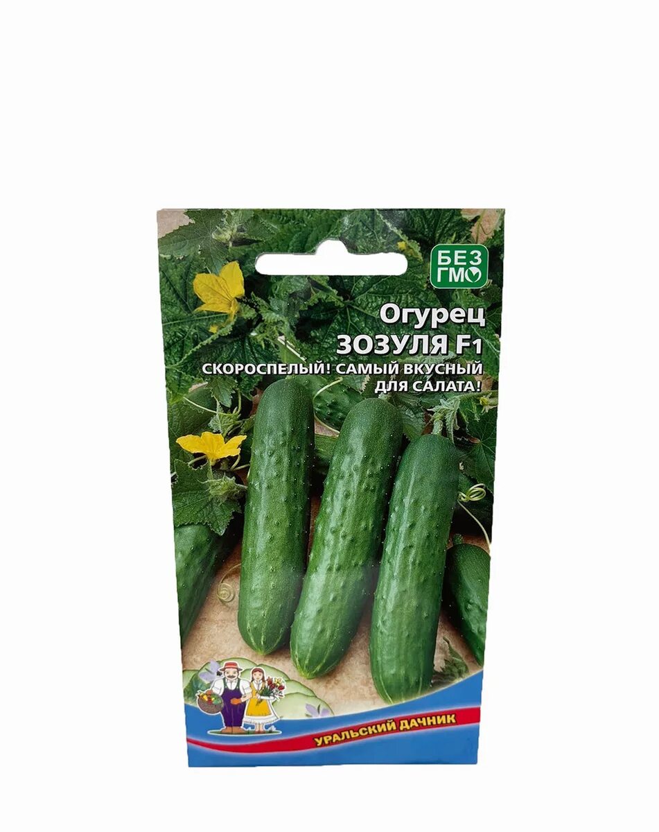 Огурцы сорт зозуля фото. Сорт огурцов зозуля. сорт зозуля огурцы. сорт зозуля. сорт зозуленок огурец.