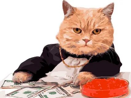 Cat boss