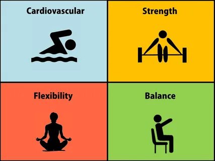 Exercise translate