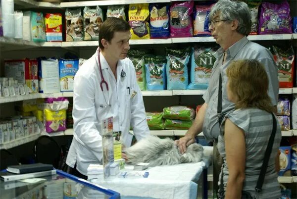 зоовет магазин