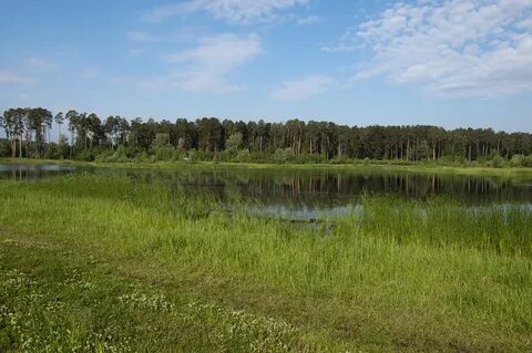 Лебяжье свердловская область каменский