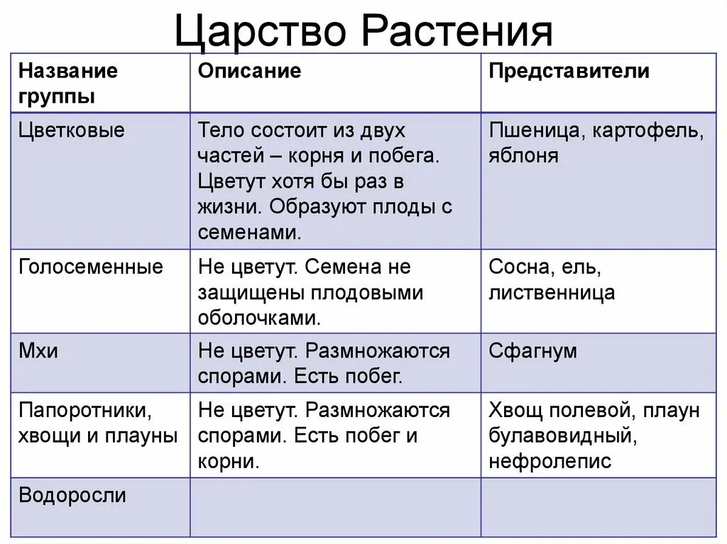 Характеристика отделов царства растений. Назовите основные отделы царства растений. Основные отделы царства растений 5 класс биология. Представители царства растений 5 класс. 5 основных групп растений