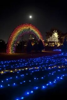 Visit light