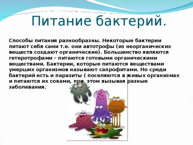 Какой способ питания у бактерий. Питание бактерий 5 класс. Чем питаются бактерии. Способы питания бактерий. Бактерии по питанию делятся на.