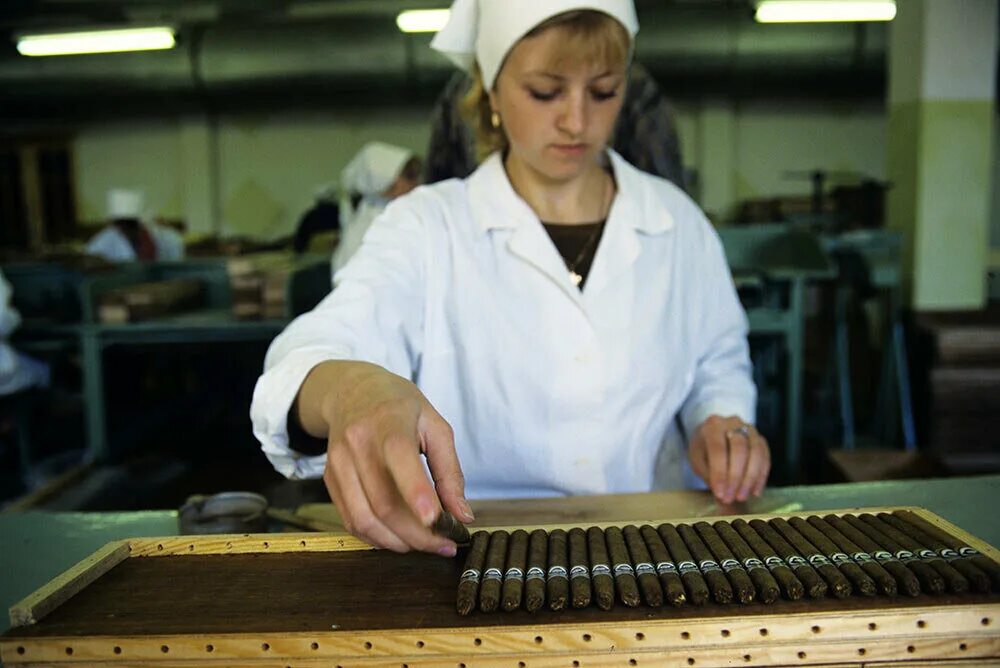 Какая табачная фабрика в России до сих пор не продалась Западу и делает качестве