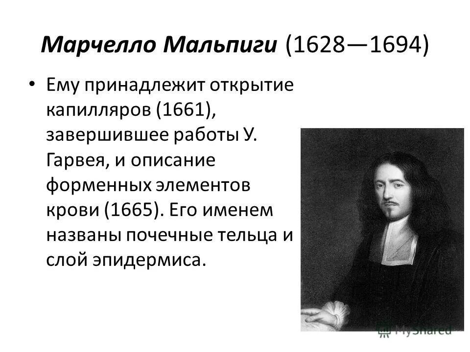 Эксперимент мальпиги. Марчелло мальпиги. м. мальпиги (1628—1694). марчелло мальпиги вклад. м мальпиги вклад в биологию.