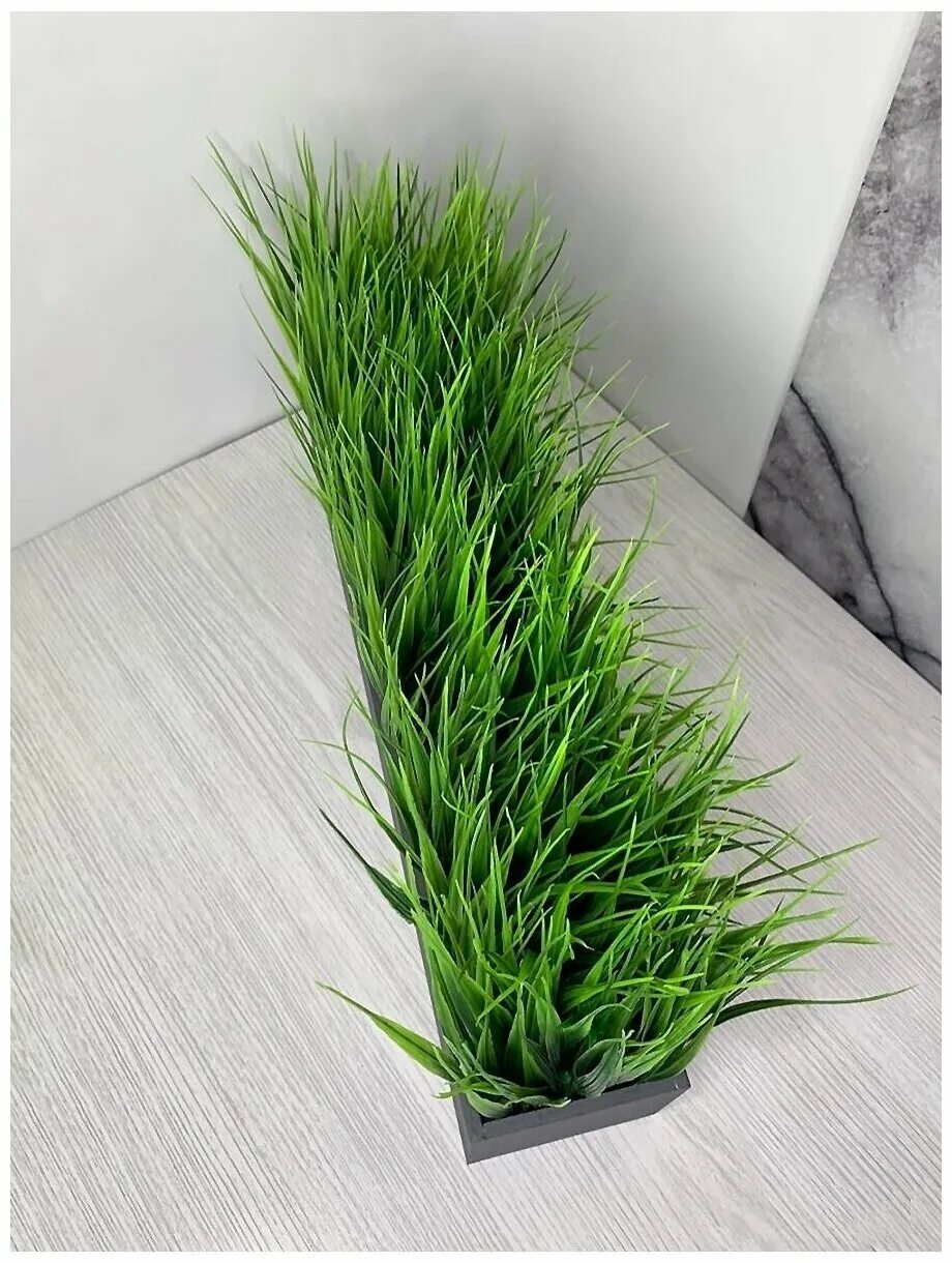 Ok home. красный домик. Ok home. красный домик для детей. фикус лировидный.