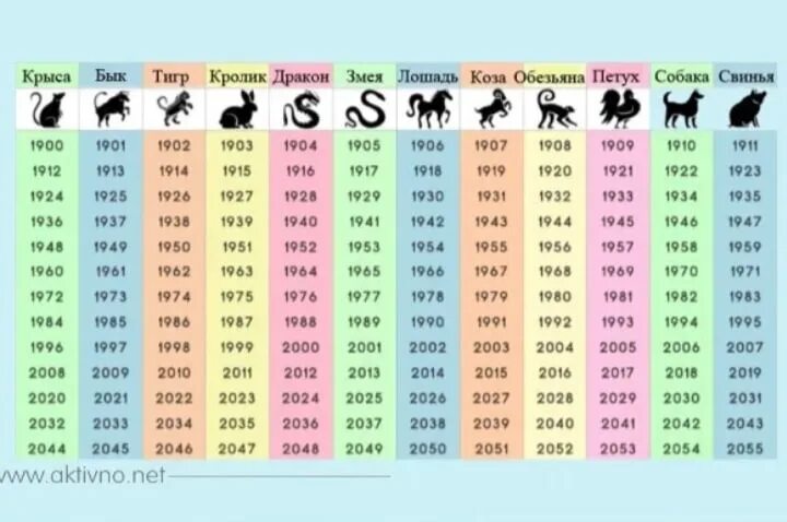 Какие животные каким годам соответствуют. 2023 Год кого. 2023 Год год кого какого животного. Какой следующий год. Следующий год 2023 какого животного.