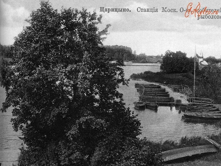 Дачи царицыно. Дачи 19 века в царицыно. вокзал царицыно дачное. дачи в царицыно старые. царицыно петька на даче.