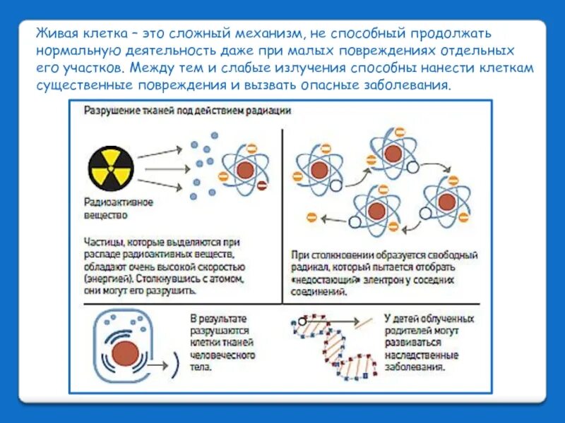 Влияние радиации на клетку. Влияние радиации на живые клетки. Действие ионизирующего излучения на клетку. Влияние иррадиации на клетки. Радиация механизм