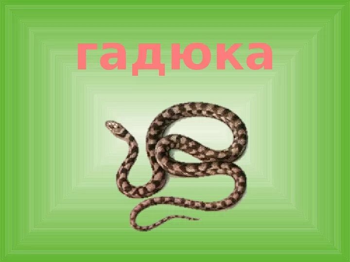Еж спасатель