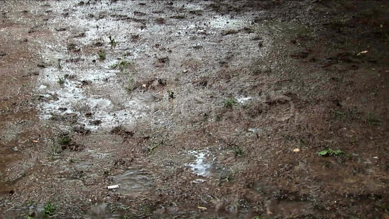 Земля воняет. Мокрая почва. Мокрый грунт. Земля грязь. Почва после дождя.