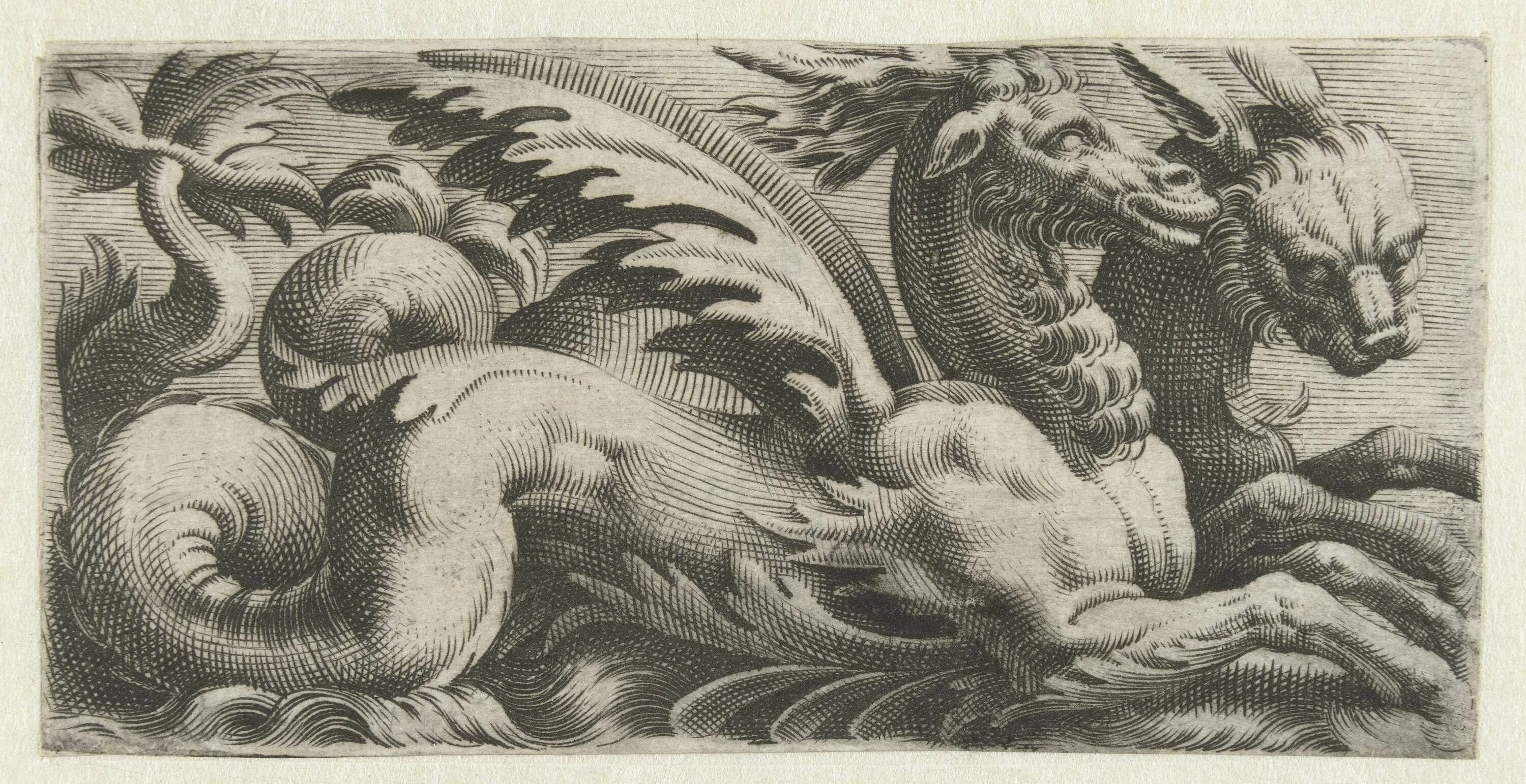 Фрагмент гравюры. Гравюры andrea maglioli. giovanni andrea maglioli. средневековая линогравюра дракон. старинные гравюры.
