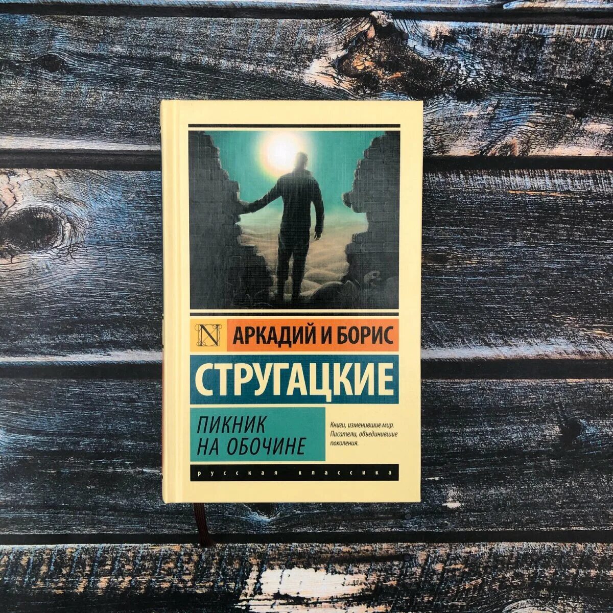 Пикник на обочине о чем книга. Пикник на обочине братья Стругацкие книга. Братья Стругацкие сталкер. Сталкер Стругацкие книга.