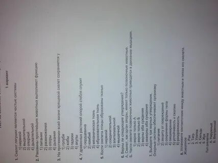 Тест по биологии 6 класс питание