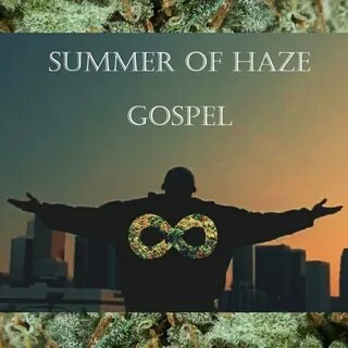 Summer of haze