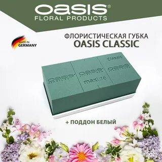 Оазис отзывы