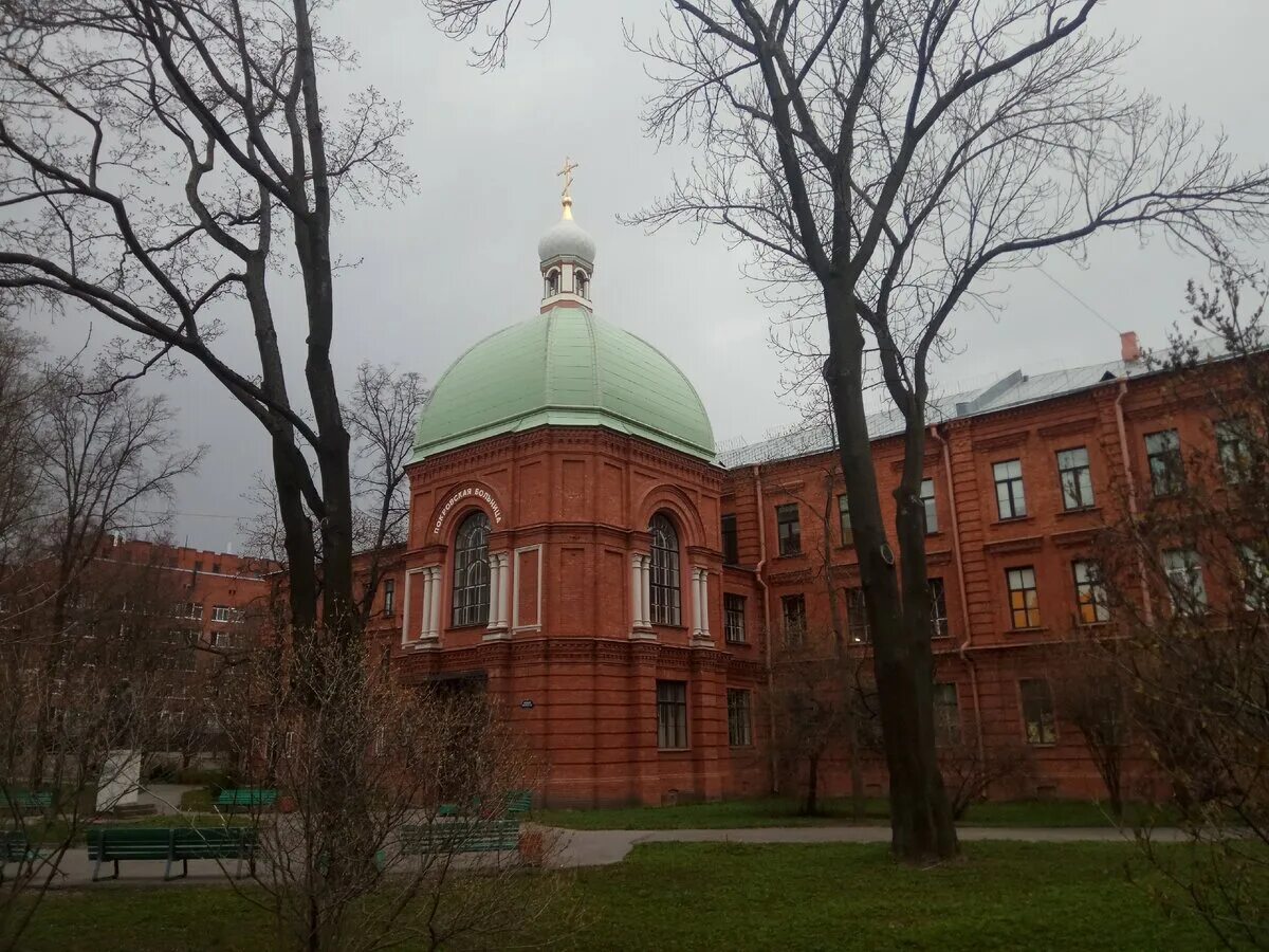 Panorama: Sankt-Peterburgskoye gosudarstvennoye byudzhetnoye uchrezhdeniye zdrav