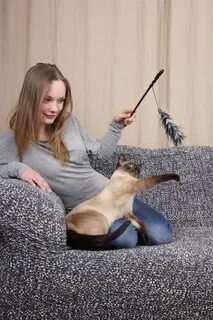 Люди играют с котами