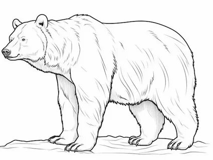 Polar Bear Printable Coloring Page - Download, Print Or Color Online B1D