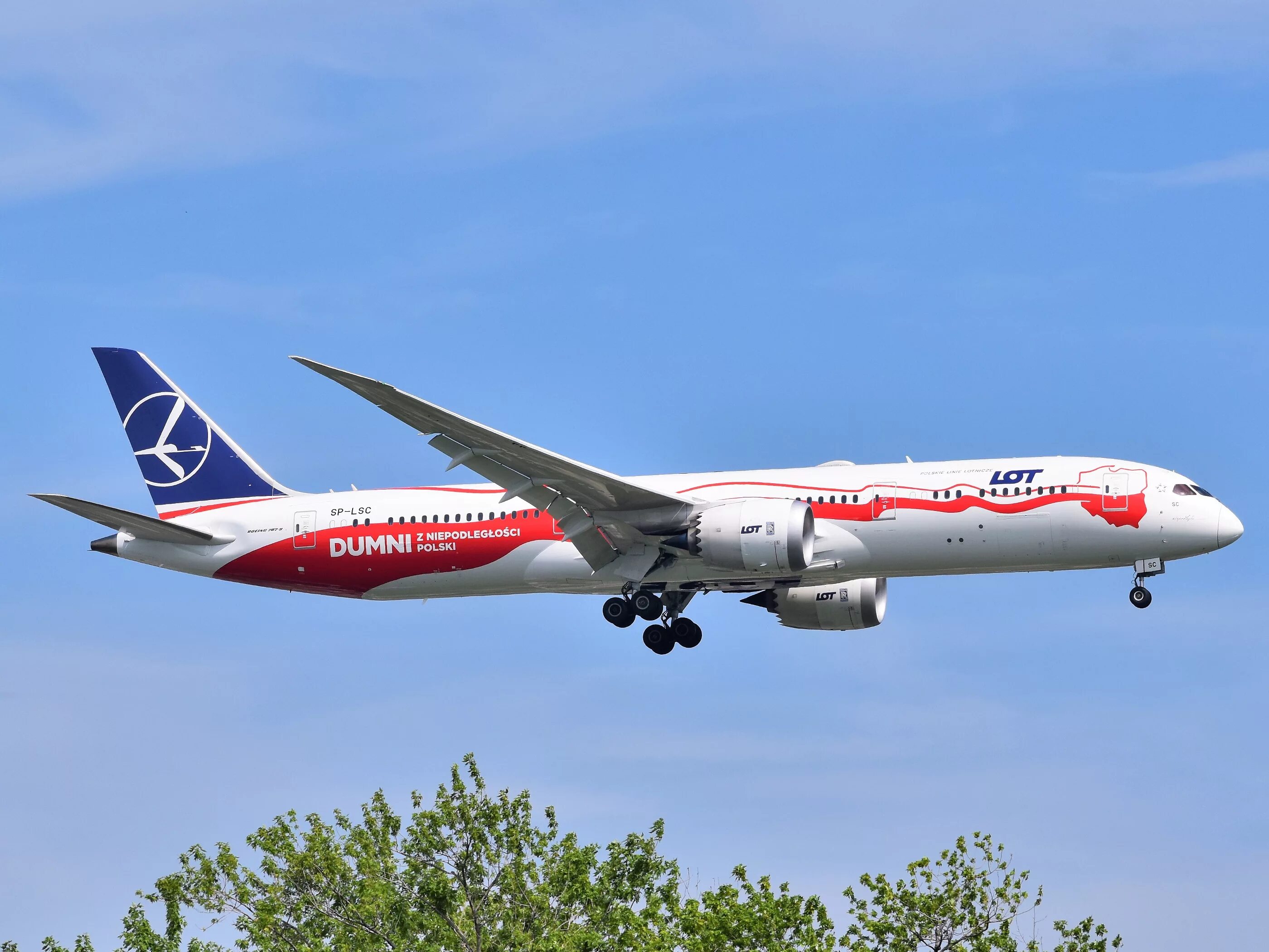 Boeing 787-9. Boeing 737 Max 8 lot Polish Airlines. Boeing 787 8 польские авиалинии. Боинг 787 авиакомпании. Lot polish airlines