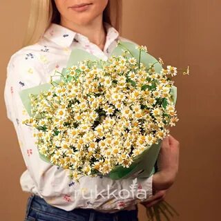 Сколько стоят ромашки